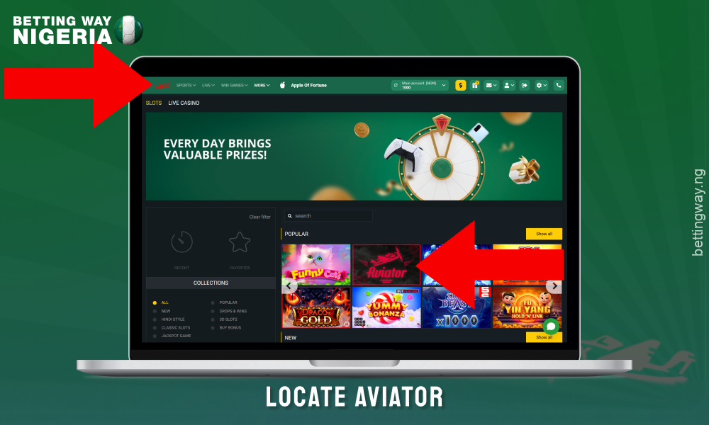 To play Aviator in Nigeria, find the game in the Crash Games or Instant Games section of the casino website